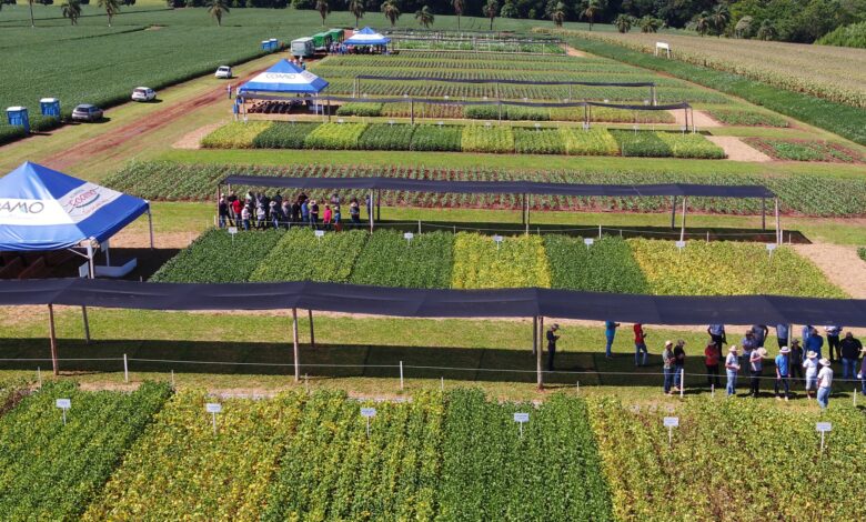 Coamo promove Encontro de Verão na Fazenda Experimental áudio CRN1