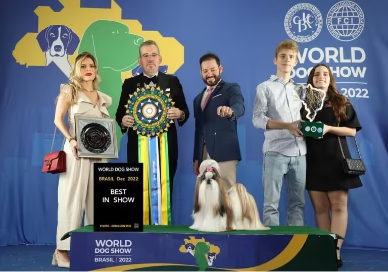 Shih-tzu brasileira é a grande vencedora da premiação 'Melhor Cão