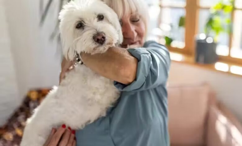 Pesquisa revela os nomes de cães e gatos mais comuns no Brasil em 2020